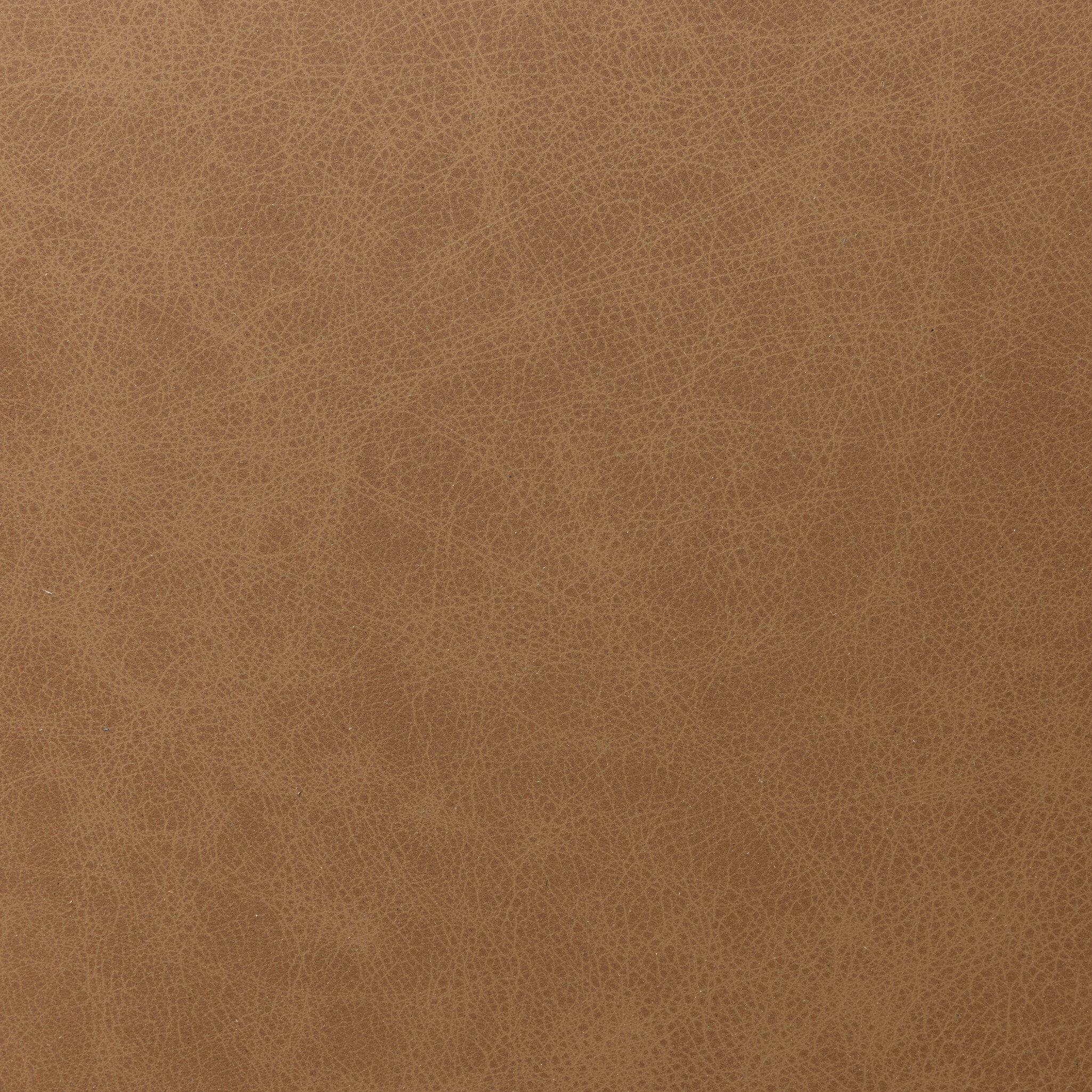 Baldwin Dining Chair - leather