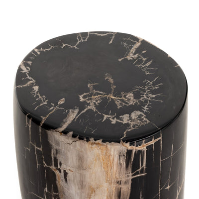 Kino End Table: Dark Petrified