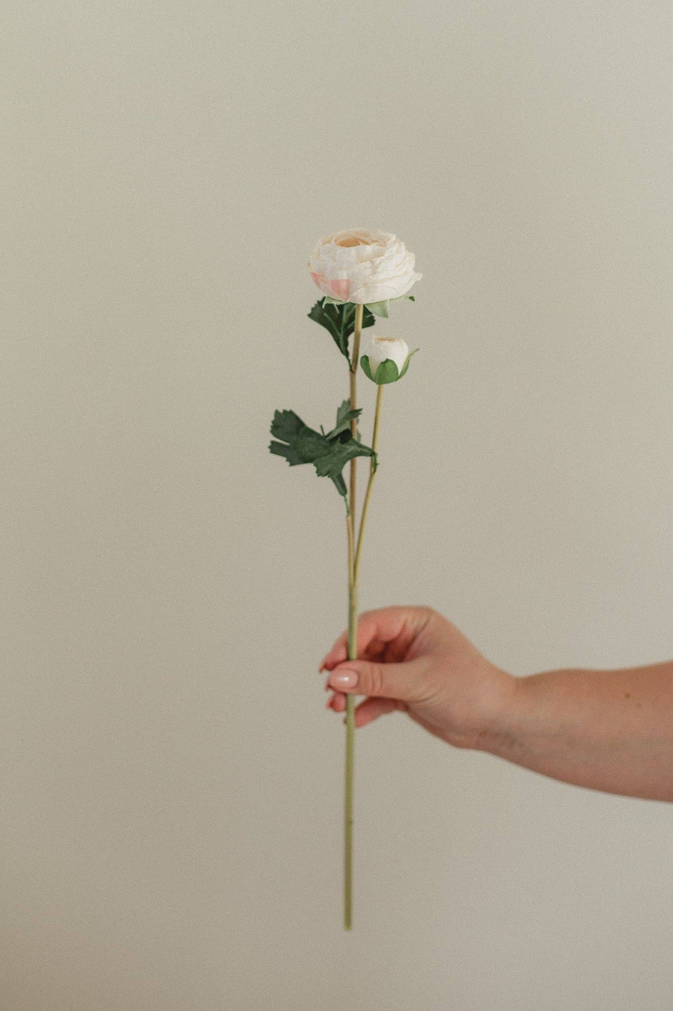 Single Bloom Ranunculus Stem