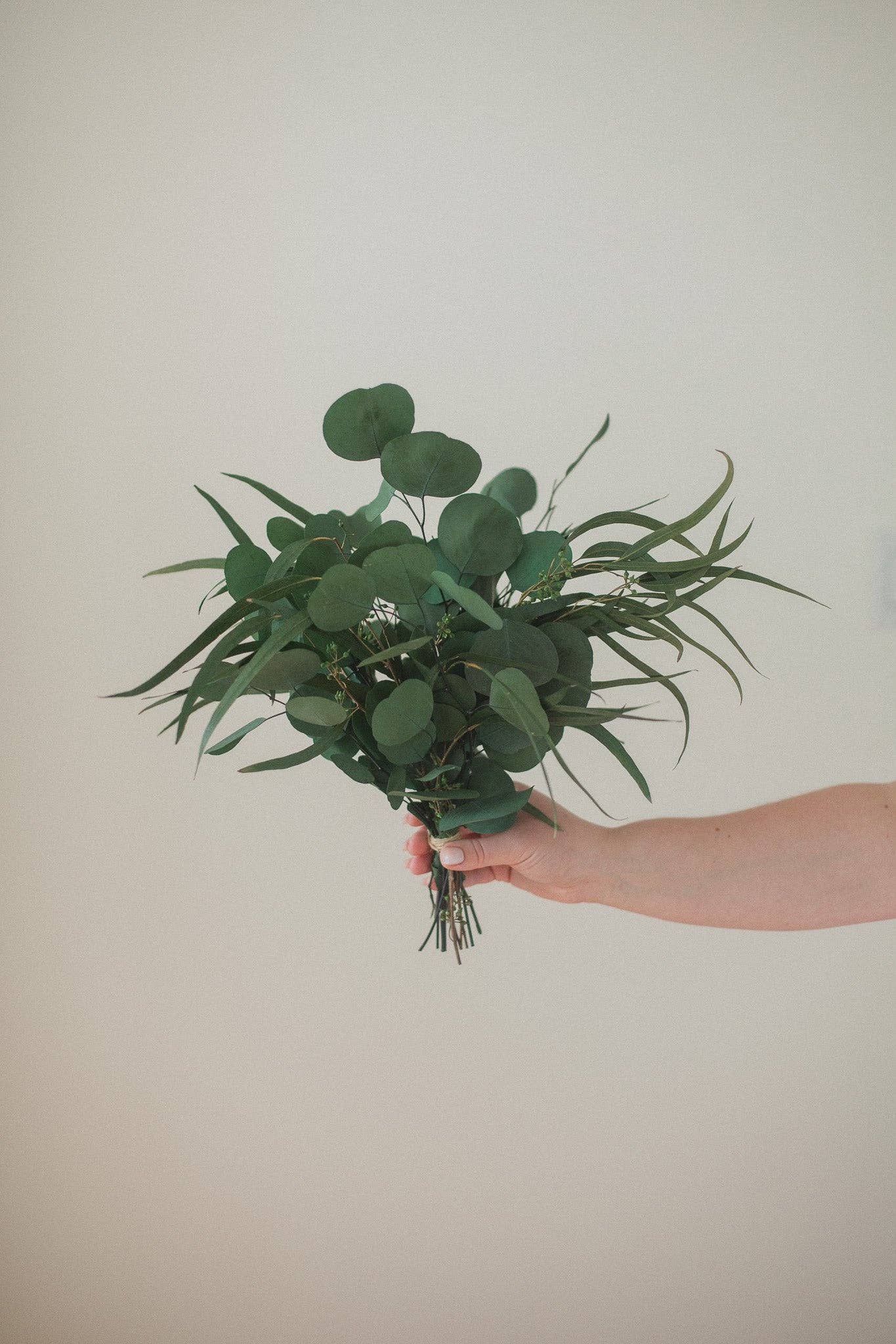 Preserved Eucalyptus Arrangement / Bouquet