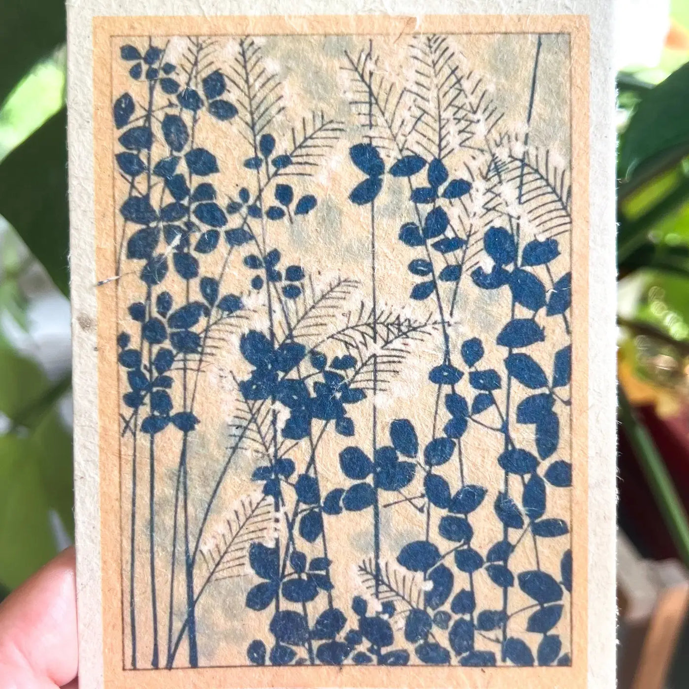 Plantable Seed Cards- Blue Honeysuckle