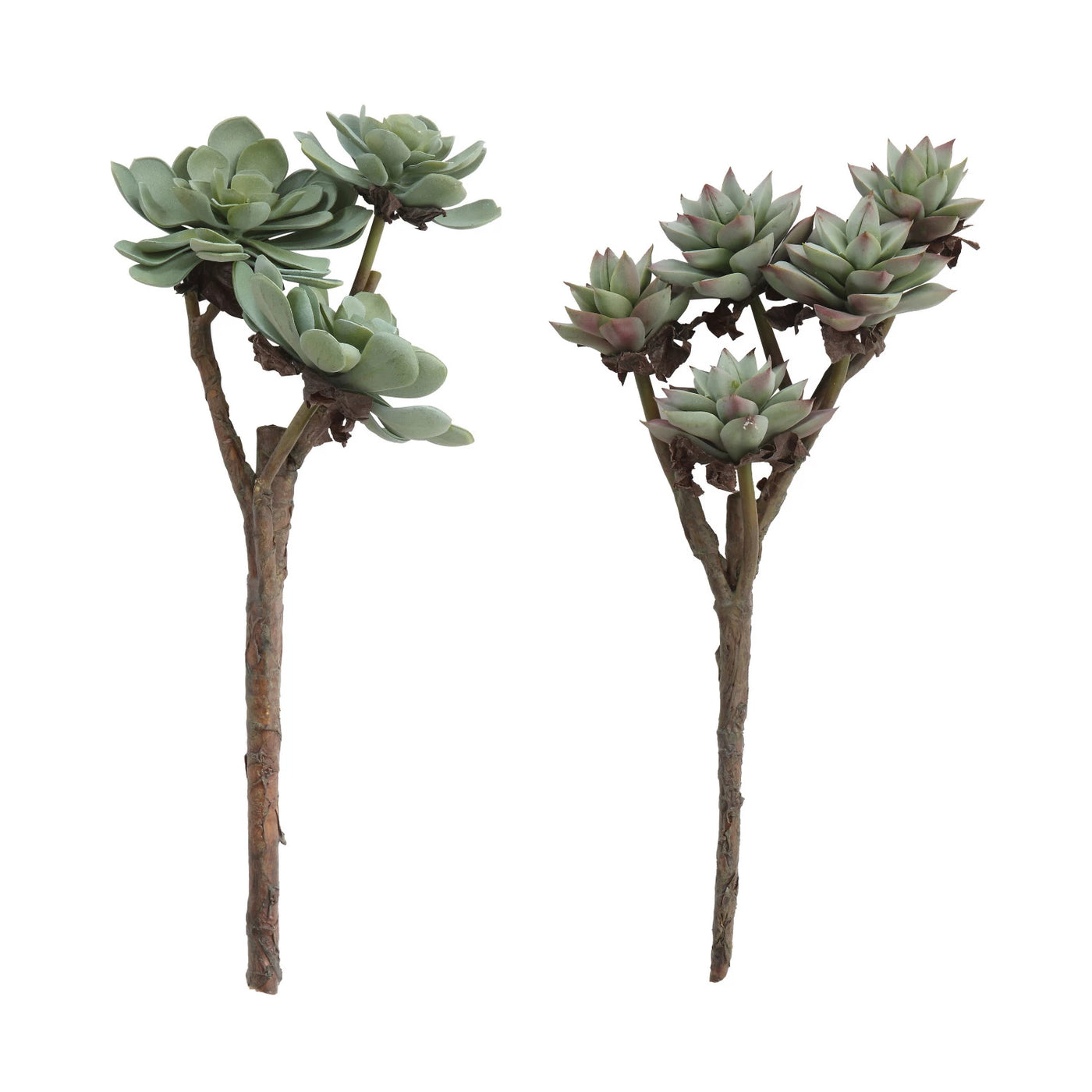 Succulent Branches - Faux