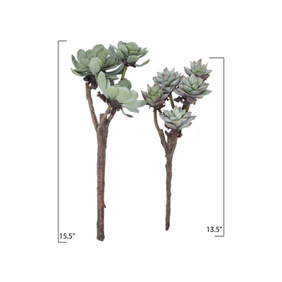 Succulent Branches - Faux