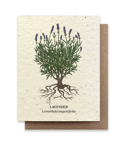 Lavender Plantable Wildflower Seed Card