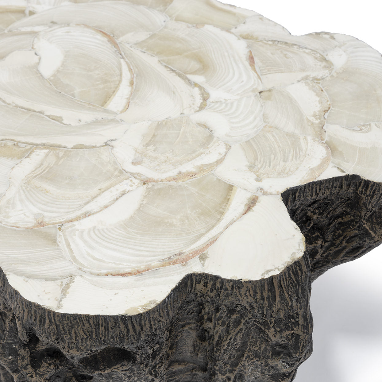 Inlaid Fossilized Clamshell Coffee Table