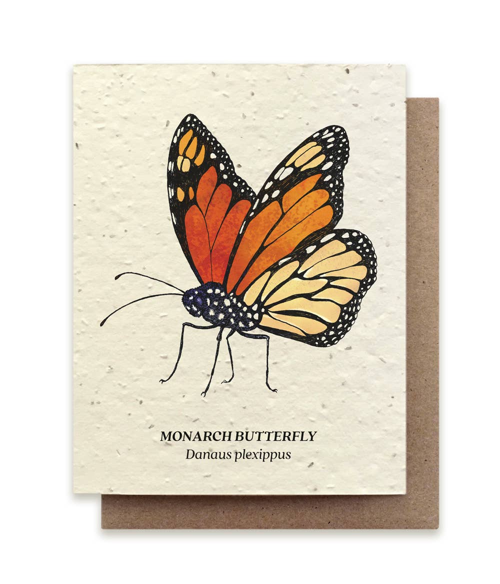 Monarch Butterfly Plantable Wildflower Seed Card: Glassine Sleeves